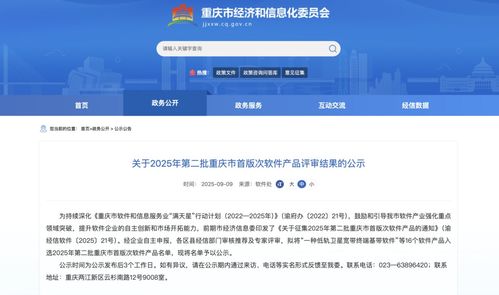 2025年第二批重慶市首版次軟件產(chǎn)品名單公示，引領行業(yè)創(chuàng)新與發(fā)展